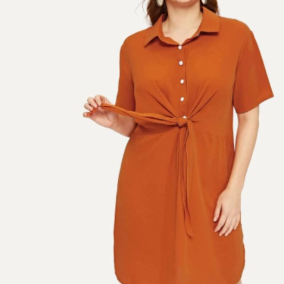 Forever 21 Brown Squash Tunic NWOT Sz S - Picture 1 of 14